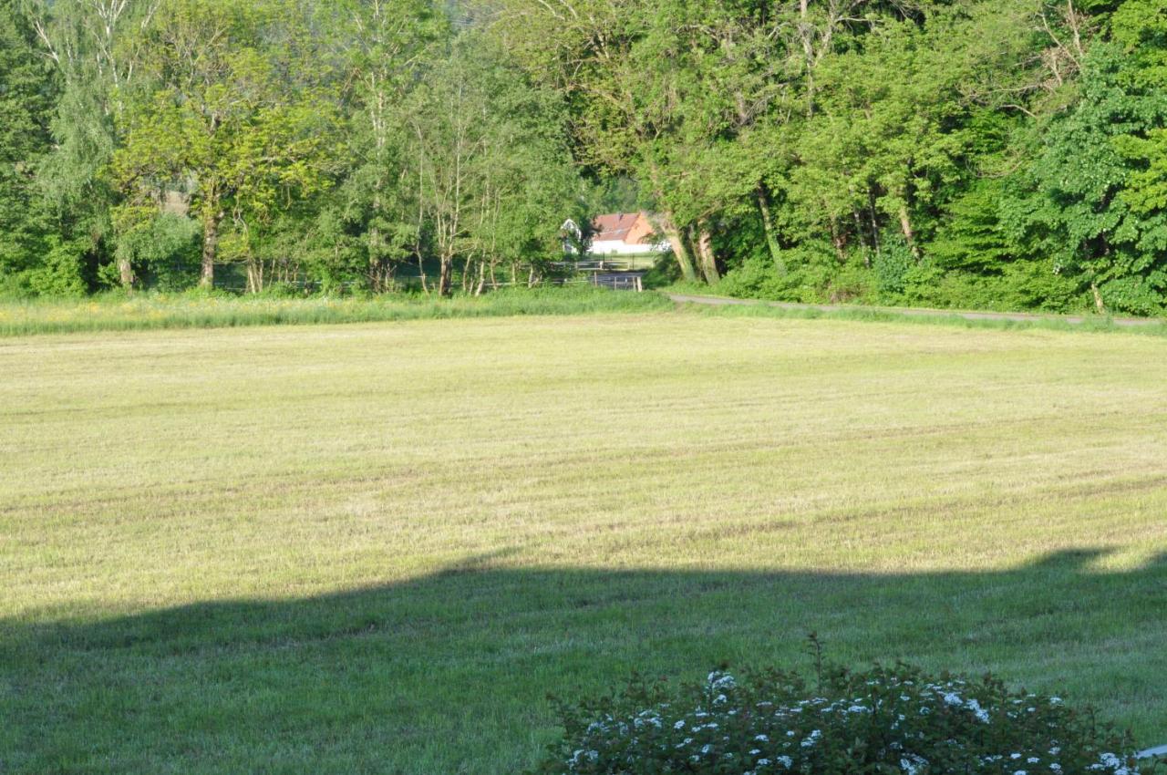 Ferienwohnung Fischer Frickingen Eksteriør billede